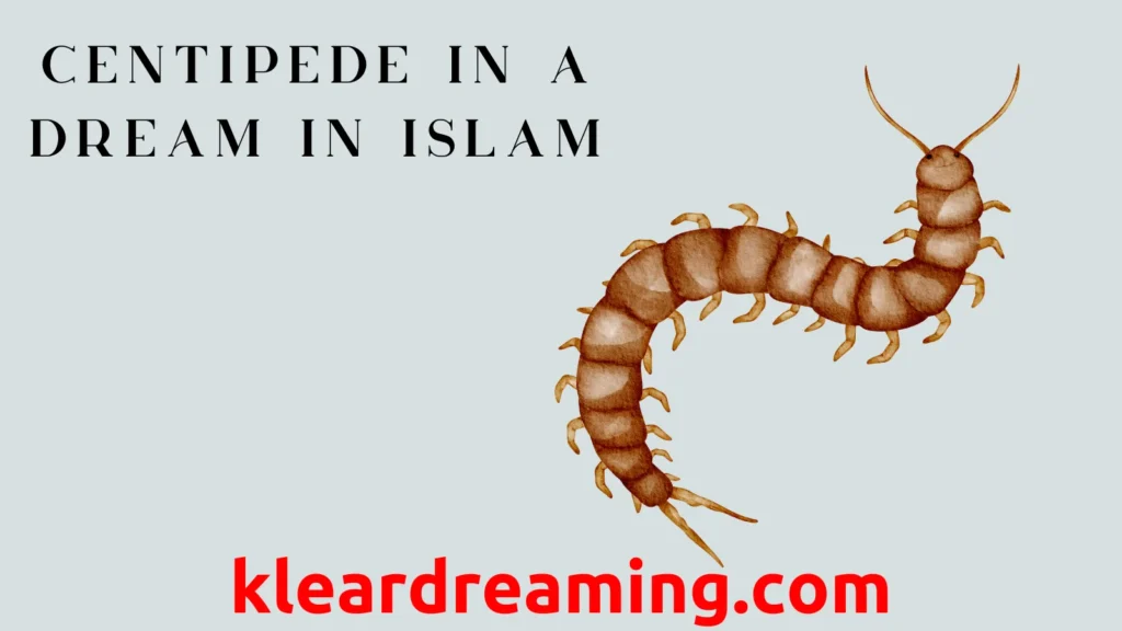 Centipede in a Dream in Islam