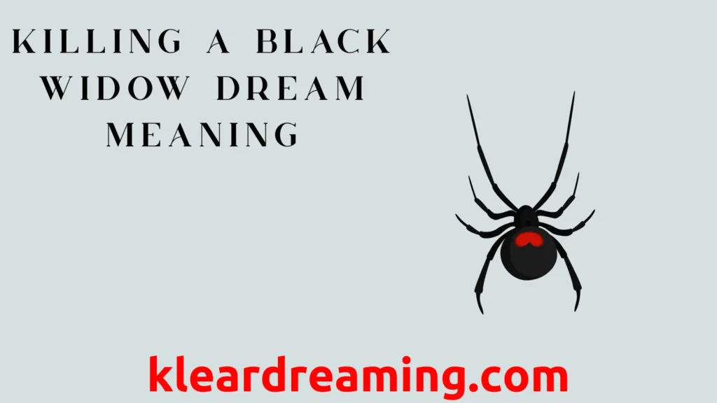Killing a Black Widow Dream Meaning