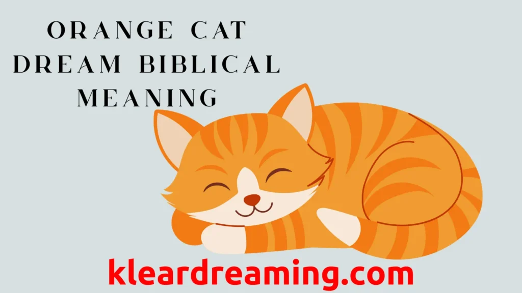 Orange Cat Dream Biblical Meaning