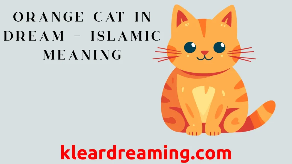 Orange Cat in Dream – Islamic Meaning