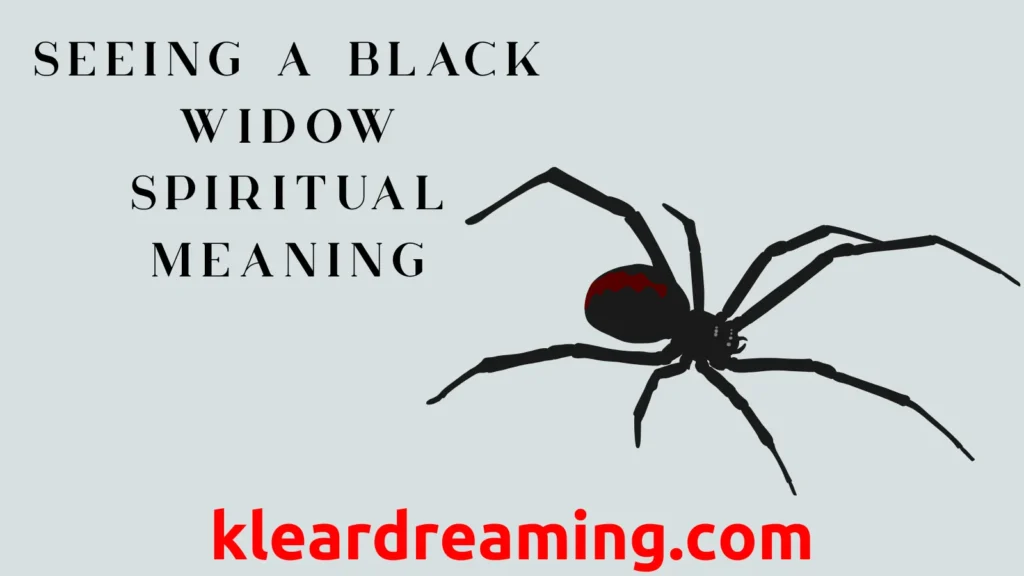 Seeing a Black Widow Spiritual Meaning