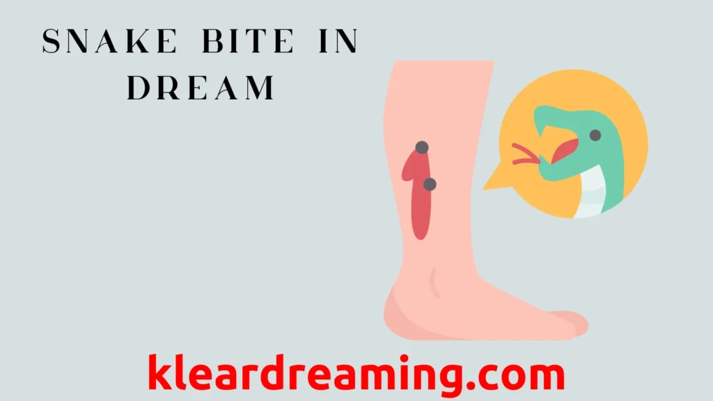 Snake Bite in Dream