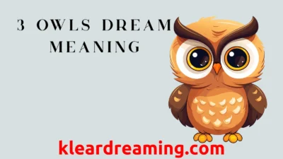 3 Owls Dream Meaning