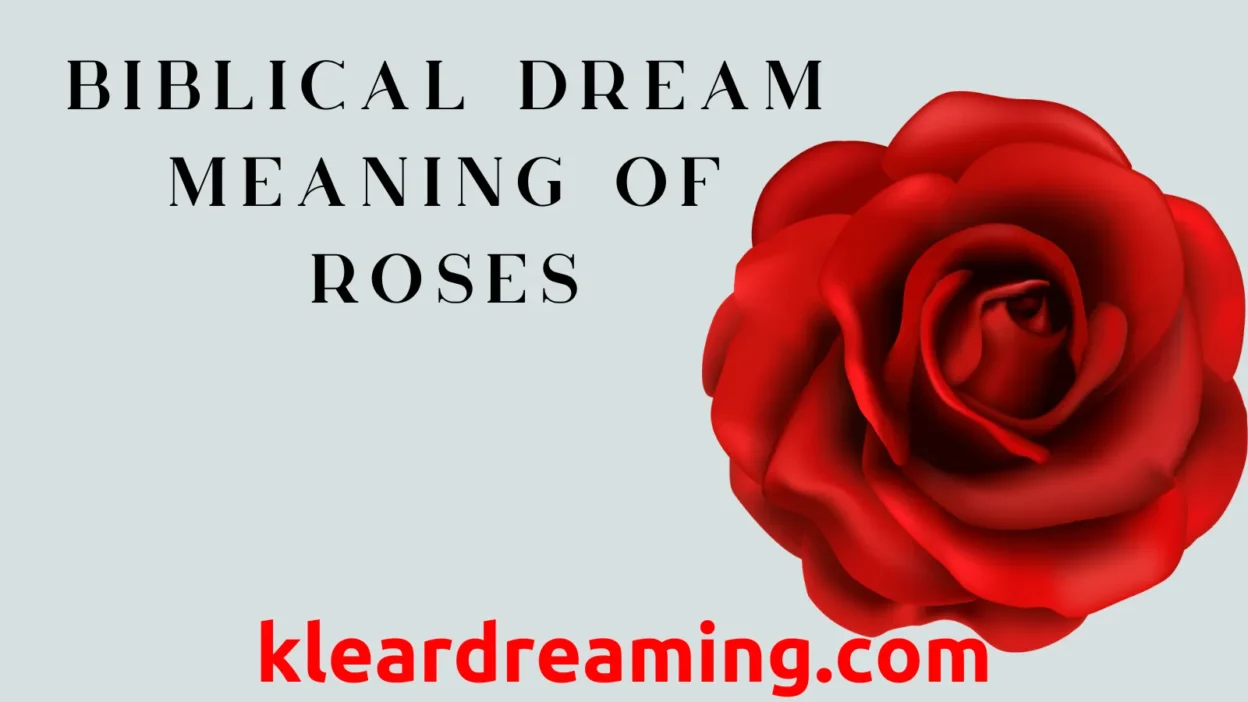 Biblical Dream Meaning of Roses
