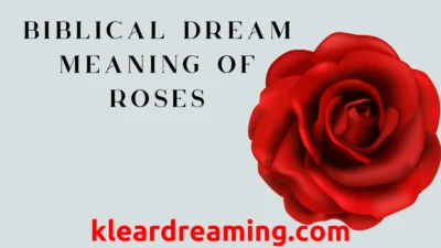 Biblical Dream Meaning of Roses