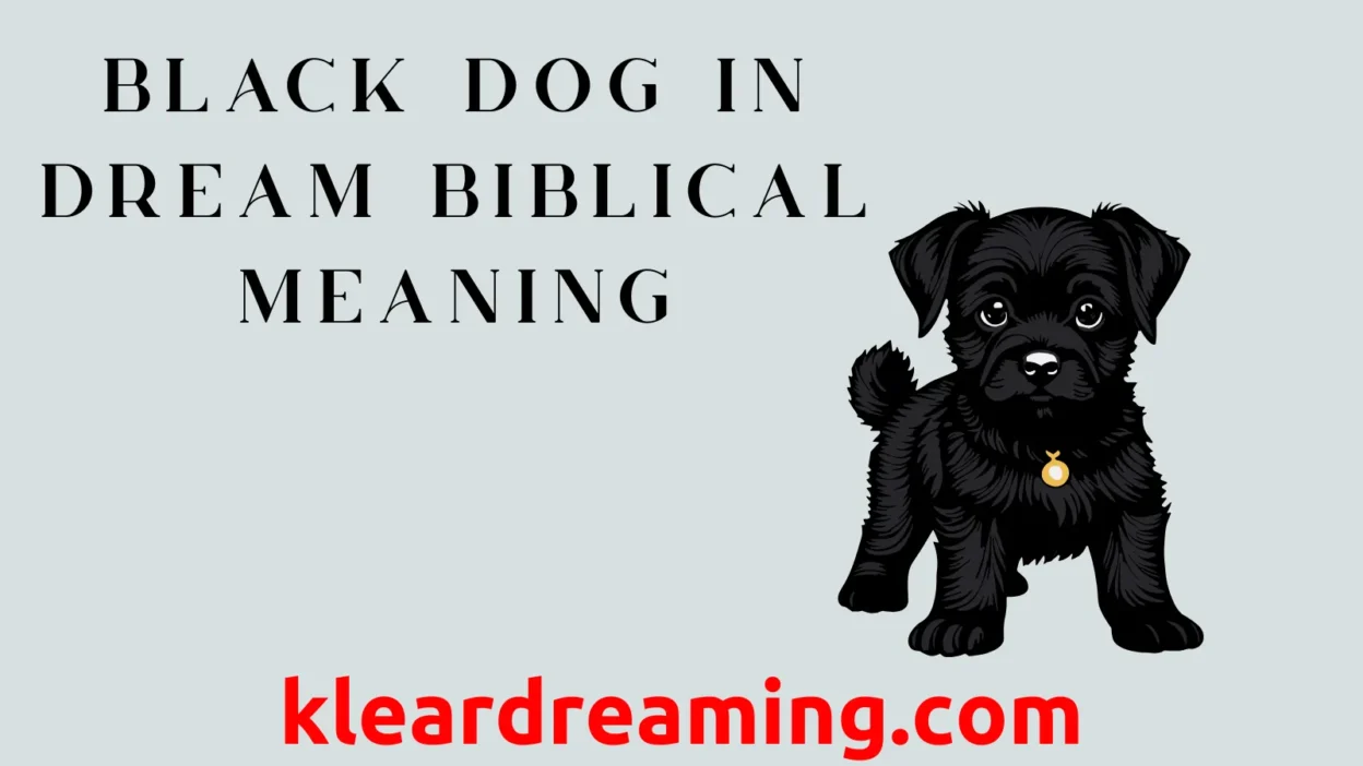 Black Dog in Dream Biblical Meaning