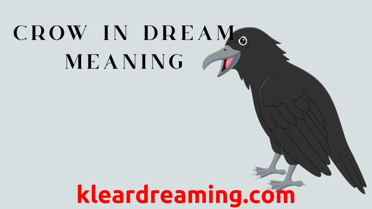 Crow in Dream Meaning