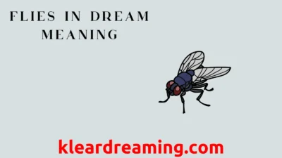 Flies in Dream Meaning