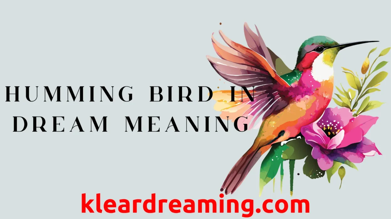 Humming Bird in dream meaning