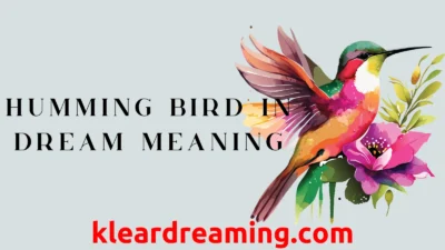 Humming Bird in dream meaning