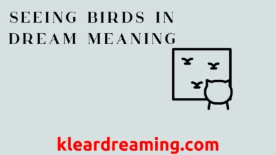 Seeing Birds in Dream Meaning