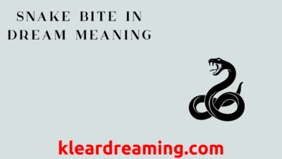 Snake Bite in Dream Meaning