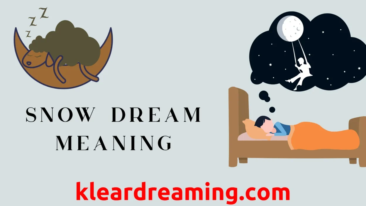 Snow Dream Meaning