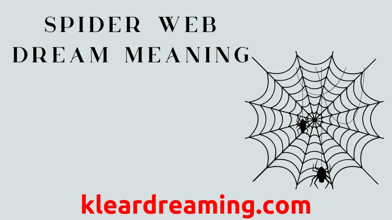 Spider Web Dream Meaning