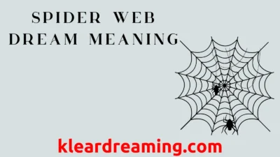 Spider Web Dream Meaning