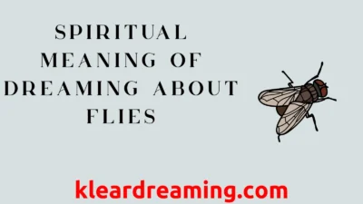 Spiritual Meaning of Dreaming About Flies