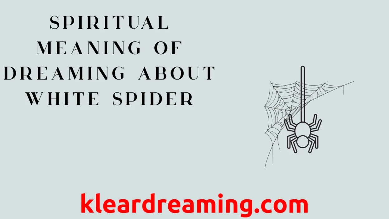 Spiritual Meaning of Dreaming About White Spider