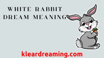 white rabbit dream meaning