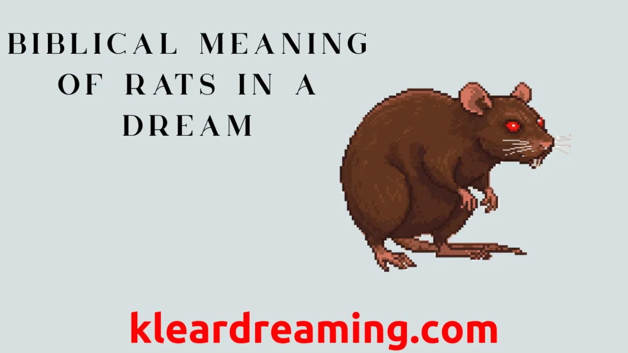 Biblical Meaning of Rats in a Dream
