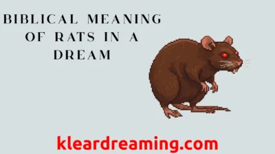 Biblical Meaning of Rats in a Dream