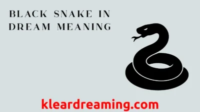 Black Snake in Dream Meaning