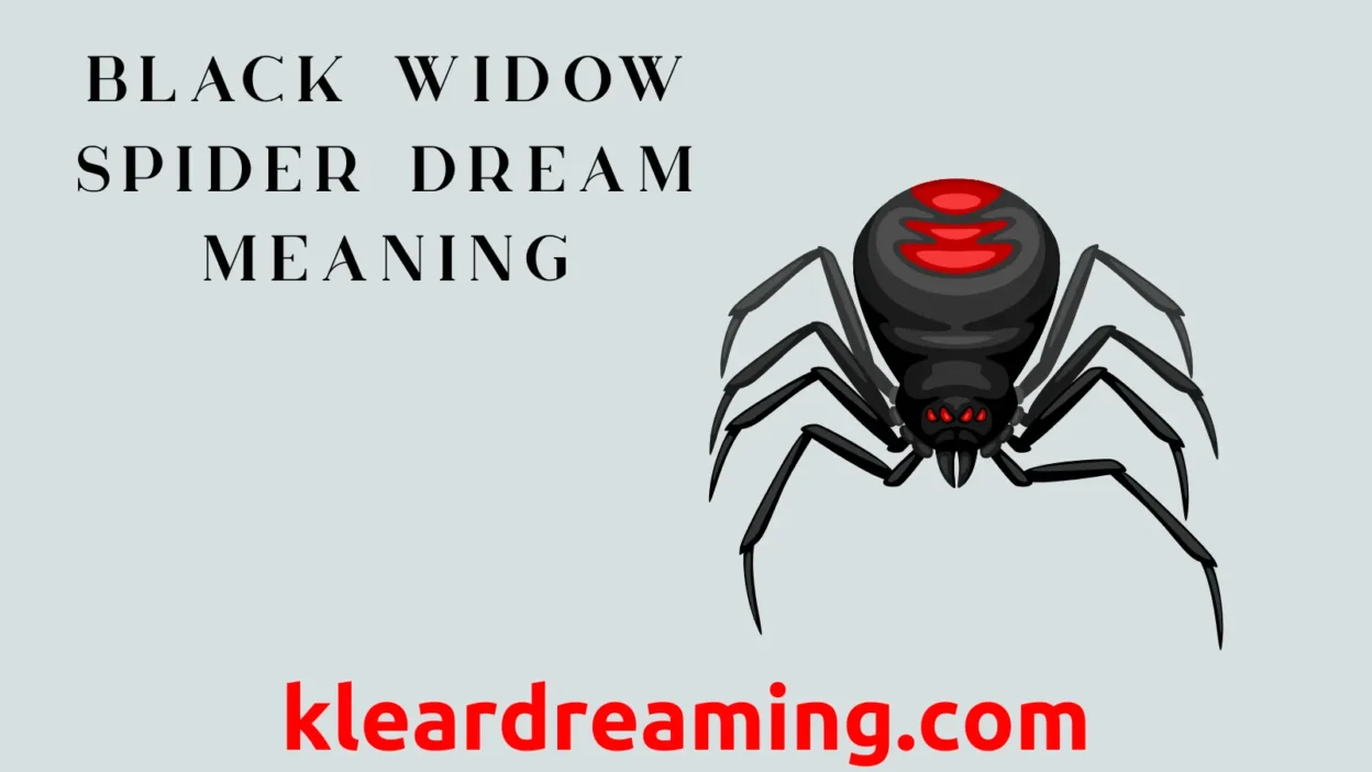 Black Widow Spider Dream Meaning