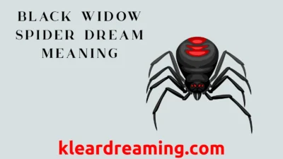Black Widow Spider Dream Meaning