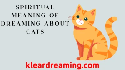 Dreaming About Making Love With a Stranger