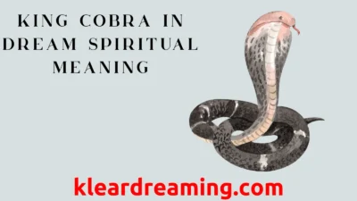 King Cobra in Dream Spiritual Meaning
