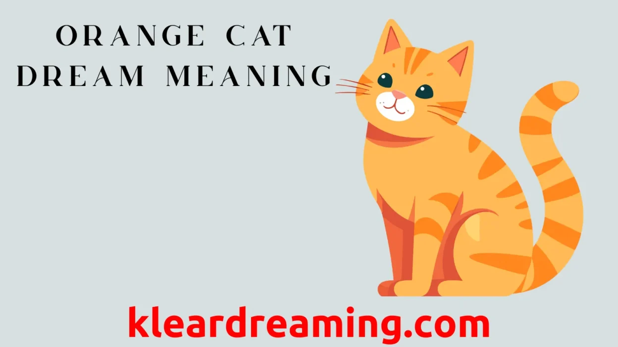 Orange Cat Dream Meaning