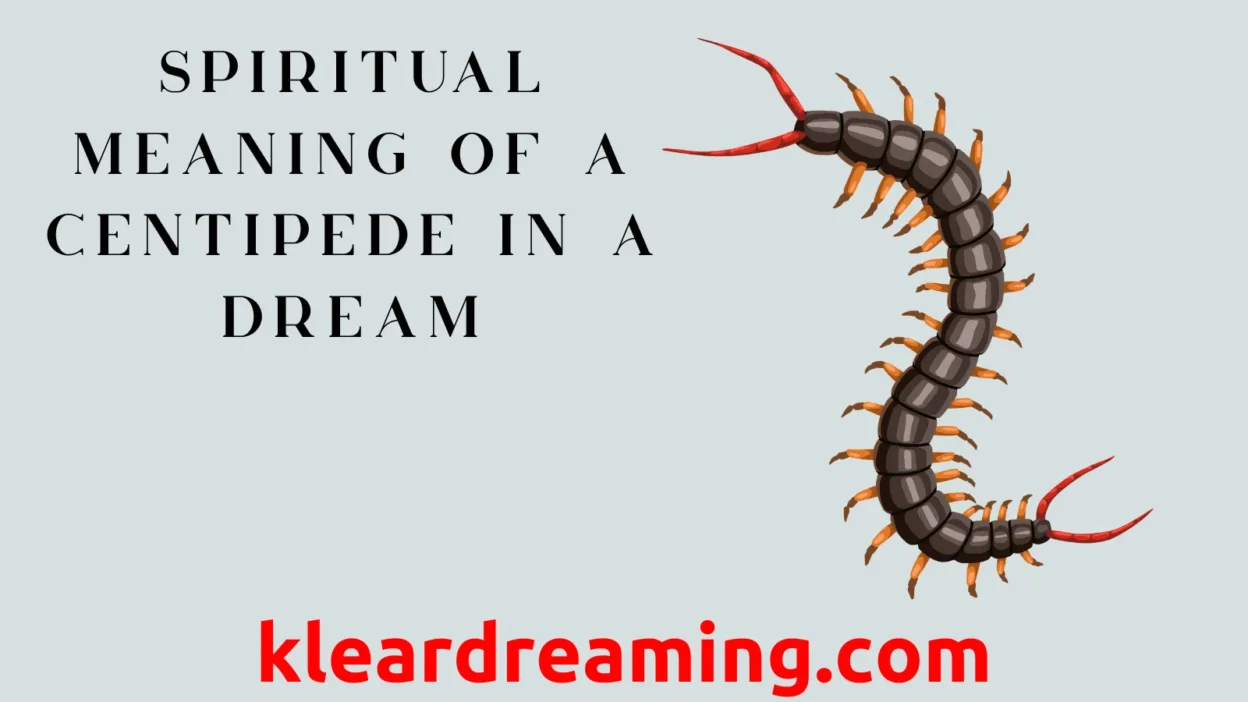 Spiritual Meaning of a Centipede in a Dream
