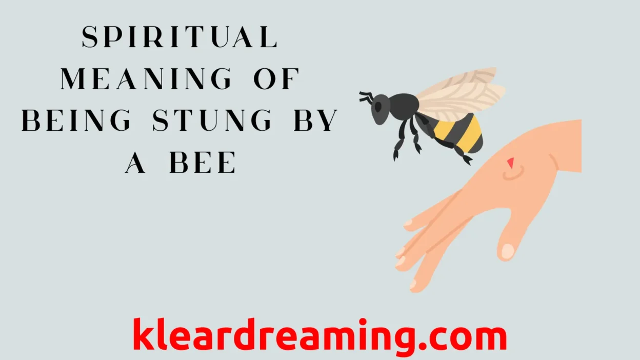 Spiritual Meaning of Being Stung by a Bee