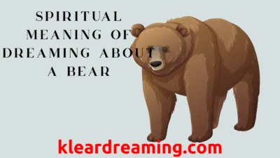 Spiritual Meaning of Dreaming About a Bear