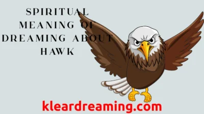 Spiritual Meaning of Dreaming About Hawk