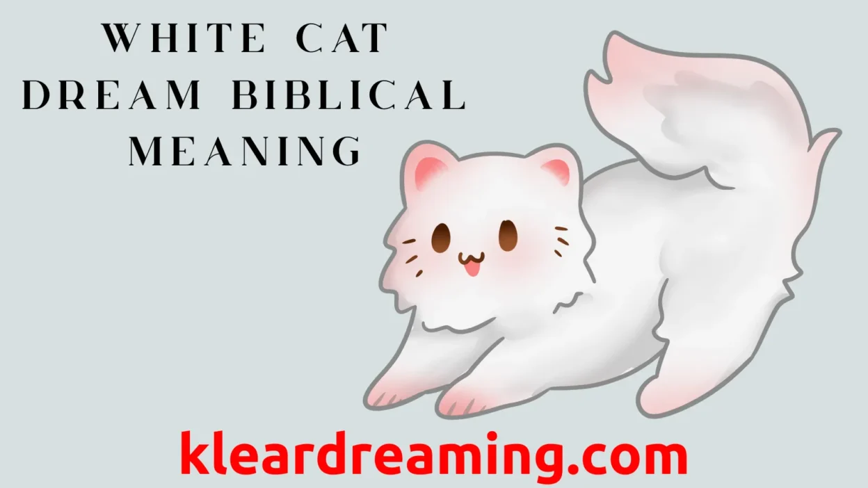 White Cat Dream Biblical Meaning
