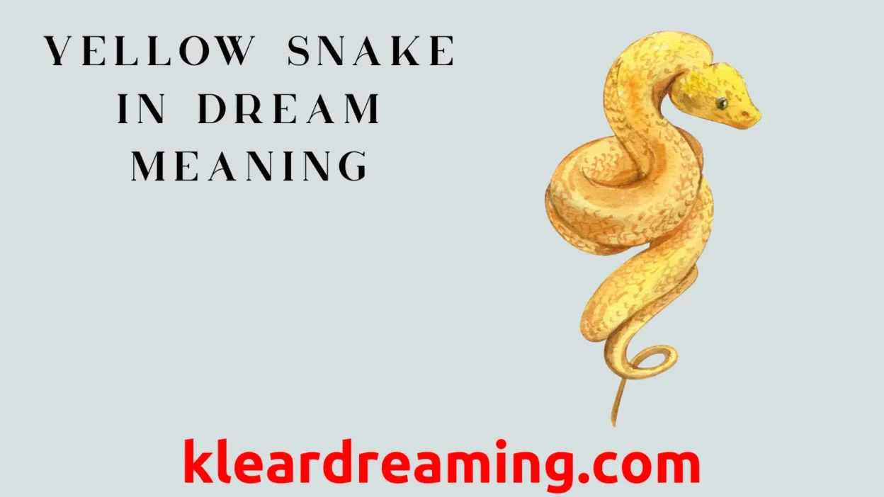 Yellow Snake in Dream Meaning