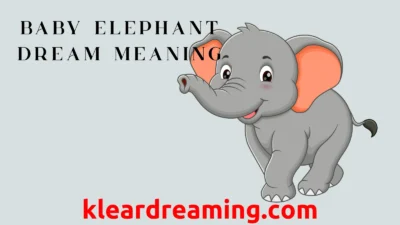 Baby Elephant Dream Meaning