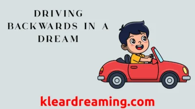 Driving Backwards in a Dream