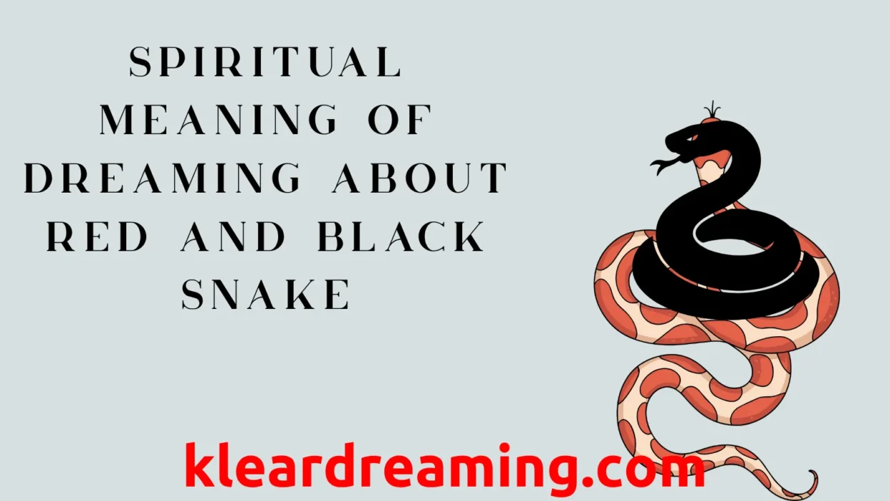 Spiritual meaning of dreaming about red and black snake