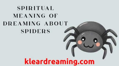 Spiritual Meaning of Dreaming About Spiders